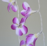 Purple Frangipani Style - fairy lights
